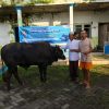 Seekor sapi Kurban dari Federasi Serikat Pekerja Pertamina Bersatu Disalurkan ke Ponpes Al Fitriyah di Jember