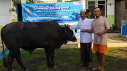 Seekor sapi Kurban dari Federasi Serikat Pekerja Pertamina Bersatu Disalurkan ke Ponpes Al Fitriyah di Jember